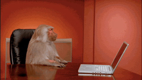 giphy.gif?cid=19f5b51afb07db682e69e27330