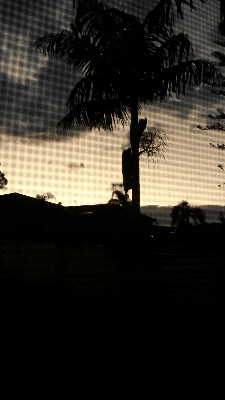 angel winter sun goodmorning sunrise GIF