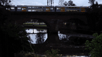 design-kink #train #river #dusk GIF