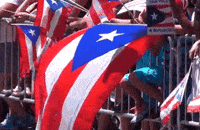 Espantapajaros Puerto Octay Gifs Get The Best Gif On Giphy