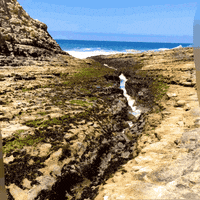 200.gif?cid=fc005b0835096def374ac5c9b7811c90c559a8f57970a824&rid=200.gif&ct=g