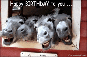 Johannes58  GIF
