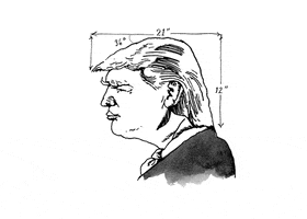 Donald Trump Illustration GIF by The New Yorker