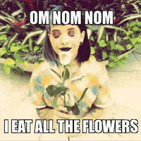 dollhouse GIF by ARtestpage