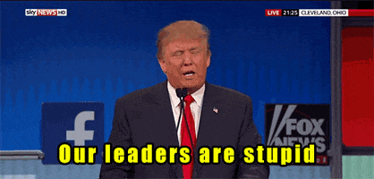 Donald Trump Leaders GIF