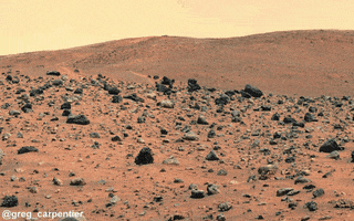 gregcarpentier  GIF