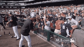 celebration champagne GIF by MLB