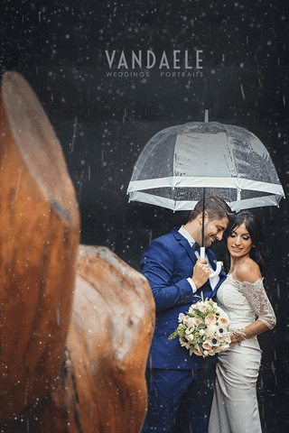 shawnvandaele love loop romance couple GIF