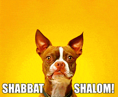 Shabbat Shalom Smiling GIF