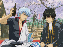 funnyginsan drinking gintama hijikata GIF