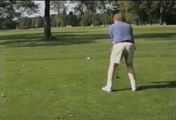 Giphy - golf lol GIF by America's Funniest Home Videos