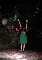 200.gif?cid=fc005b08e87738e4e6a35ccb76833d1f8e278a191a5082a8&rid=200.gif&ct=g