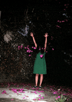 green dress GIF by Jaime Martinez