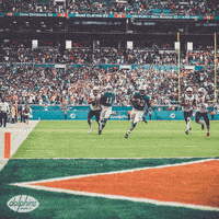 Miami Football GIF by Miami Dolphins