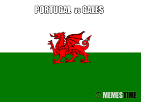 mt euro 2016 portugal gales GIF