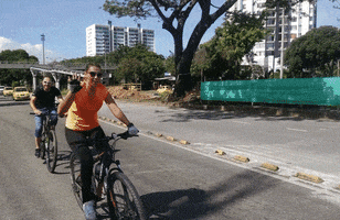 danielapuentesrueda  GIF