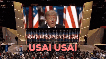 donald trump usa GIF by Election 2016