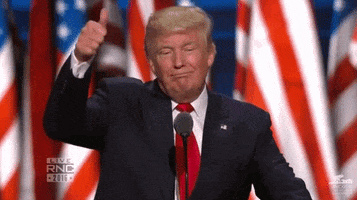 Donald Trump Thumbs Up GIF by Election 2016