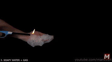 alisun  GIF