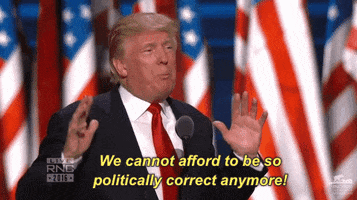 we cannot afford to be so politically correct anymore donald trump GIF by Election 2016