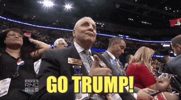 republican national convention go trump GIF by Election 2016