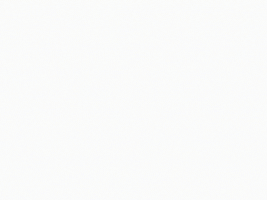 silent anas GIF