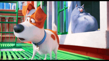 edwin-valdez cat dog life the GIF