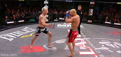 leprosy fight awesome ko GIF