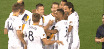 mike magee goal celebration GIF by LA Galaxy