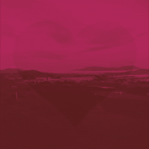 mrszoerockett hddhhd GIF