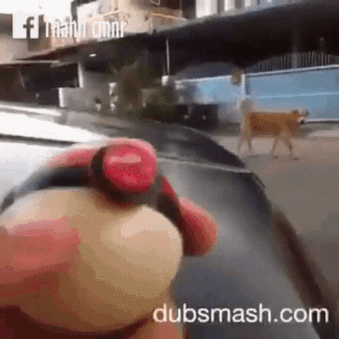 ick  GIF
