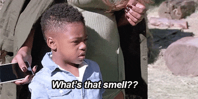 Whats That Smell GIFs - Get the best GIF on GIPHY