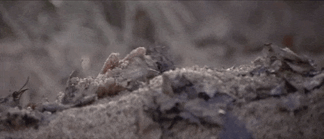 200.gif?cid=fc005b089bdaadce7c42a215efcf8648fc575e3bda2fc531&rid=200.gif&ct=g