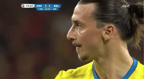 Euro 2016 Football GIF by Sporza - Find & Share on GIPHY