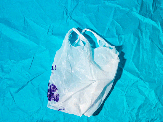 🐦 Here's what those five cent plastic bags are paying for.