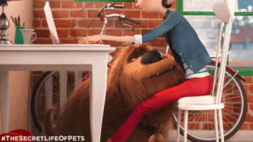Dog Work GIF by The Secret Life Of Pets