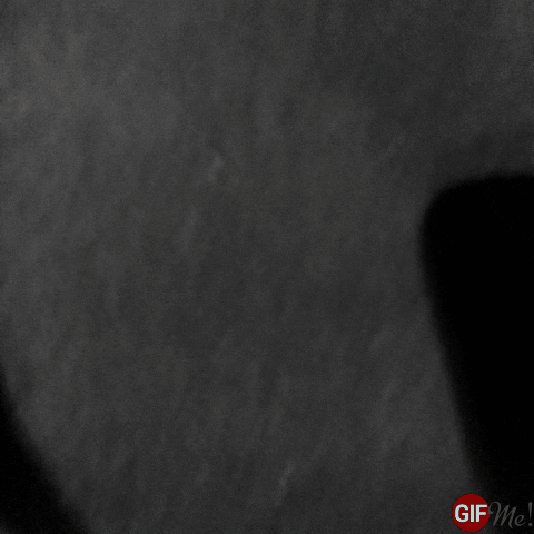 reactor  GIF
