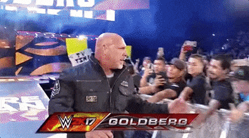 bill goldberg wrestling GIF by WWE