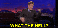 100.gif