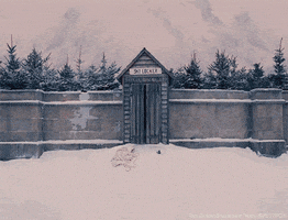 The Grand Budapest Hotel Winter GIF by 20th Century Fox Home Entertainment