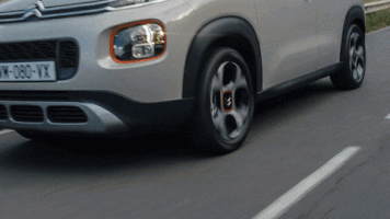 Citroen Artistofklutoo GIF