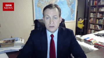 Bbcgirl Knowledgewallet GIF