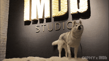 white fang dog GIF by IMDb
