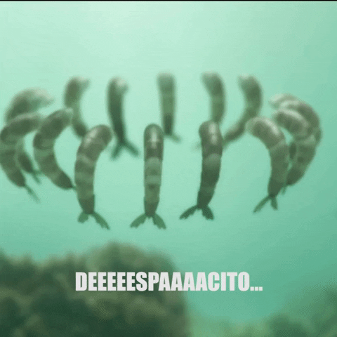 pescanova  GIF