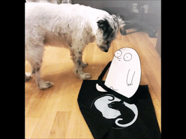 Dog GIF