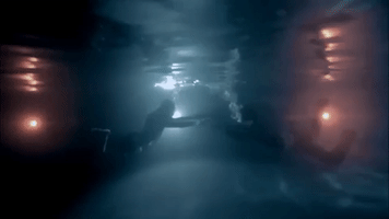 Long Hot Summer GIFs on GIPHY - Be Animated