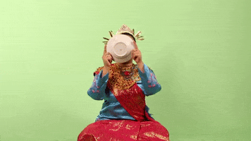 sumatra barat indonesia GIF