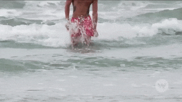 the bachelor beach GIF by W Network