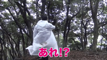 Japan Island GIF