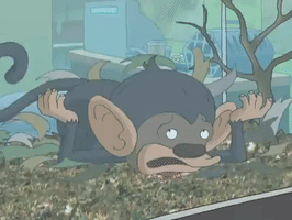 200.gif?cid=fc005b087c301819975b4561b57044e2bd9ef44689f3db5c&rid=200.gif&ct=g